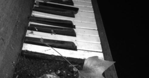 Piano with leaf